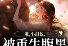 《她,小泪包,被重生腹黑男掐腰宠》全集免费在线阅读(温浅酥霍湛行)-瑞奇文学