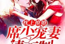 完结版《枕上撩婚：席少，宠妻请克制》章节目录在线阅读-瑞奇文学