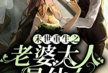 末世重生之老婆大人是仙女小说的无弹窗阅读体验，寻找免费阅读网站-瑞奇文学