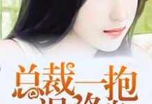 总裁一抱误终身小说完结了吗？在哪里可以免费读到？-瑞奇文学