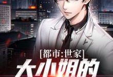 免费在线阅读都市:世家大小姐的漫漫追夫路小说的正规网站有哪些?-瑞奇文学