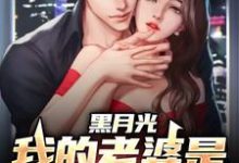 完结版《黑月光:我的老婆是财阀大小姐》在线免费阅读-瑞奇文学