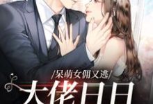 呆萌女佣又逃,大佬日日被急哭小说全文哪里可以免费看?-瑞奇文学