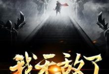 已完结小说《我无敌了，你们随意！》在线章节阅读-瑞奇文学