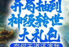 叶玄东方薇雪小说《开局抽到神级转世大礼包，奈何天道还演我》在线阅读-瑞奇文学