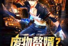 废物赘婿?不,我是战狼!这本小说怎么样?免费在线阅读试试-瑞奇文学