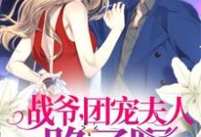 战爷，团宠夫人路子野！小说，战爷，团宠夫人路子野！最新章节-瑞奇文学