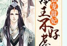 主人公秋月伊百里陌寒司徒晨阳暖春小说独宠甜妃：冷王不好惹在线章节阅读-瑞奇文学