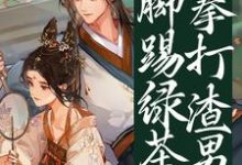 拳打渣男脚踢绿茶，本公主要休夫凤锦绣沈修瑾小说在线章节免费阅读-瑞奇文学