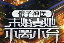 傻子神医：未婚妻她不离不弃小说，傻子神医：未婚妻她不离不弃免费阅读-瑞奇文学