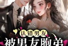 求认错男友，被男友胞弟赖上怎么办？小说免费资源-瑞奇文学