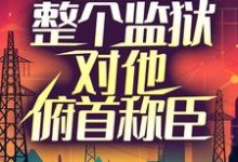 免费在线阅读出狱那天,整个监狱对他俯首称臣小说的正规网站有哪些?-瑞奇文学