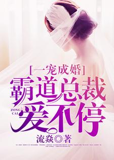 一宠成婚：霸道总裁爱不停乔惜萧晏城，一宠成婚：霸道总裁爱不停小说免费阅读