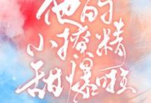 他的小撩精甜爆啦这本小说在哪里可以看?哪里有免费试读章节?-瑞奇文学