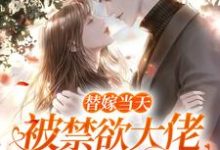 寻找替嫁当天,被禁欲大佬宠到失控小说的最新更新章节-瑞奇文学