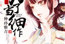 李轻歌沈渊叶青青的完整故事在哪里？读穿越不是为了当细作小说-瑞奇文学