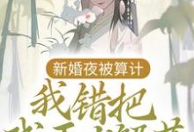已完结小说《新婚夜被算计,我错把残王当解药》最新章节-瑞奇文学
