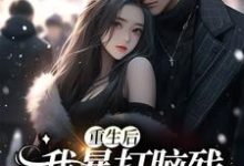 符婉沈铃铃的小说在哪里看?免费在线阅读重生后,我暴打脑残前夫一家-瑞奇文学