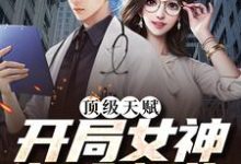 小说《顶级天赋:开局女神投入怀抱》章节免费阅读-瑞奇文学