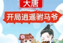 已完结小说《大唐：开局逍遥驸马爷》最新章节-瑞奇文学