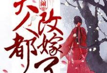 别再闹!夫人都改嫁了小说全文哪里可以免费看?-瑞奇文学