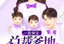 《一胎俩宝：总裁爹地超宠哒》小说主角慕容雪泽宇哥苏琪章节章节免费在线阅读-瑞奇文学