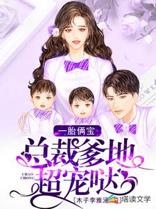 《一胎俩宝：总裁爹地超宠哒》小说主角慕容雪泽宇哥苏琪章节章节免费在线阅读