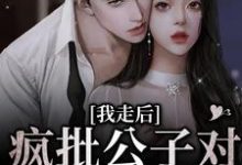 小说《我走后,疯批公子对我相思入骨》章节免费阅读-瑞奇文学