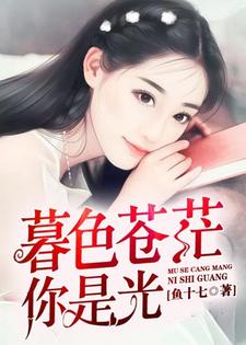 已完结小说《暮色苍茫，你是光》在线章节阅读