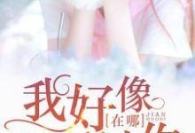 男女主人公叫陆离景季的小说免费资源-瑞奇文学