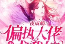 求一夜成瘾，偏执大佬天天求我嫁小说免费资源-瑞奇文学