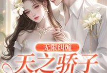 无限纠缠：天之骄子疯狂爱小说的免费阅读版本在哪里可以找到？-瑞奇文学