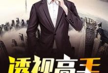 免费在线阅读透视高手在都市小说的正规网站有哪些？-瑞奇文学