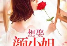 想娶颜小姐为妻小说的所有章节都能在哪里免费读到？-瑞奇文学