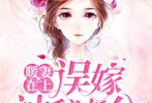 顾星辰沈南城的小说在哪里看?免费在线阅读暖妻在上:误嫁神秘老公-瑞奇文学