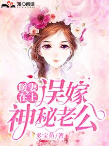 顾星辰沈南城的小说在哪里看？免费在线阅读暖妻在上：误嫁神秘老公