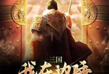 三国:我在边陲,扩张家族地盘这本小说完结了吗?免费查看最新章节-瑞奇文学