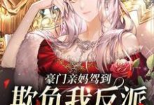 豪门亲妈驾到,欺负我反派儿子没门小说,豪门亲妈驾到,欺负我反派儿子没门在线阅读-瑞奇文学