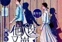 免费在线阅读顾先生他人设又崩了小说的正规网站有哪些？-瑞奇文学