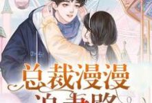 姜璎珞欧子明欧总灵灵的故事在哪本书里？免费阅读总裁漫漫追妻路-瑞奇文学