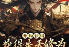 开局获得先天修为,看我逆风翻盘小说,开局获得先天修为,看我逆风翻盘最新章节-瑞奇文学