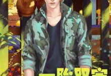 一胎双宝，顾少豪横成瘾慕安安顾越深白少艇张欣雅小说在线章节免费阅读-瑞奇文学