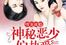 嗜宠成瘾：神秘恶少偏执爱小说阅读，嗜宠成瘾：神秘恶少偏执爱完结版-瑞奇文学