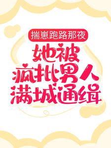 主角齐夏赫连城小说完结版在线阅读，揣崽跑路那夜，她被疯批男人满城通缉免费看