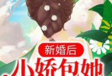 求新婚后，小娇包她甜香诱人小说免费资源-瑞奇文学