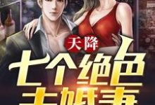 天降七个绝色未婚妻最新章节，天降七个绝色未婚妻免费阅读-瑞奇文学