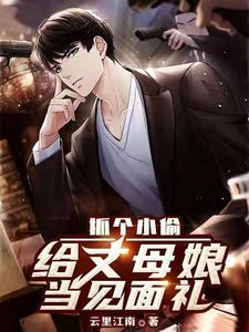 抓个小偷给丈母娘当见面礼陆远骆曦，抓个小偷给丈母娘当见面礼章节在线阅读
