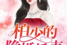 哪里能找到柏少的隐婚娇妻小说的全部章节？-瑞奇文学