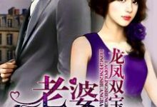 小说《龙凤双宝：老婆，领证吧》在线章节阅读-瑞奇文学