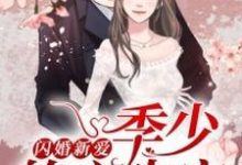 闪婚新爱：季少的心尖宠小说的免费电子版在哪里可以下载或阅读？-瑞奇文学